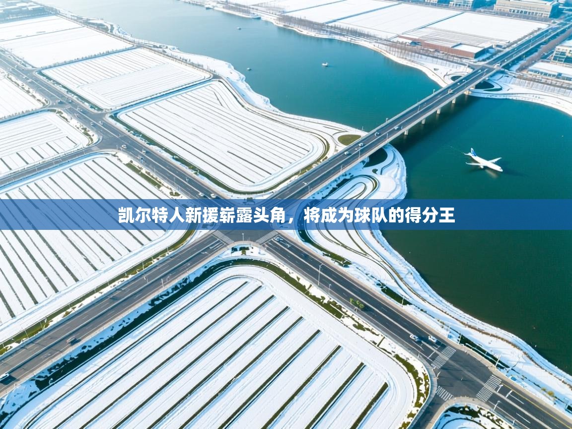 凯尔特人新援崭露头角，将成为球队的得分王  第2张